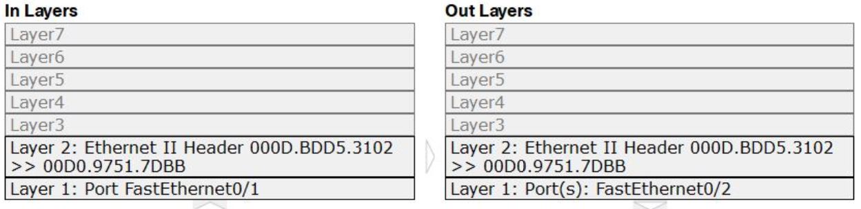 Network Ping Command Explained command - Network Bachelor