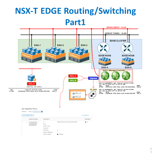 Nsx T Series Part 14 Nsx T Segment Without Ip Subnet Gateway Network Bachelor